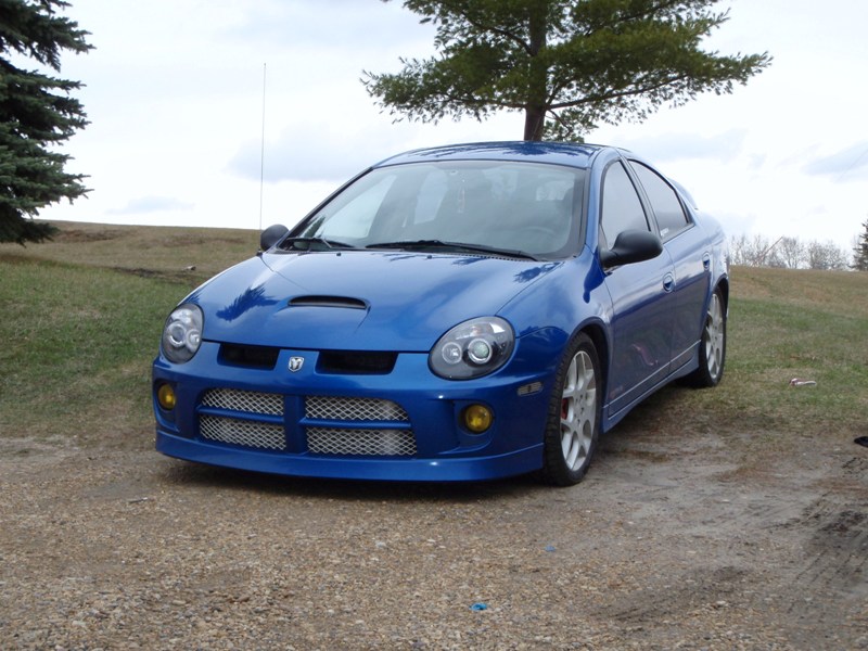 2004 Dodge Neon Srt 4 Pictures Cargurus