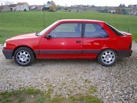 1995 Peugeot 309 Overview 1995 Peugeot 309 Overview