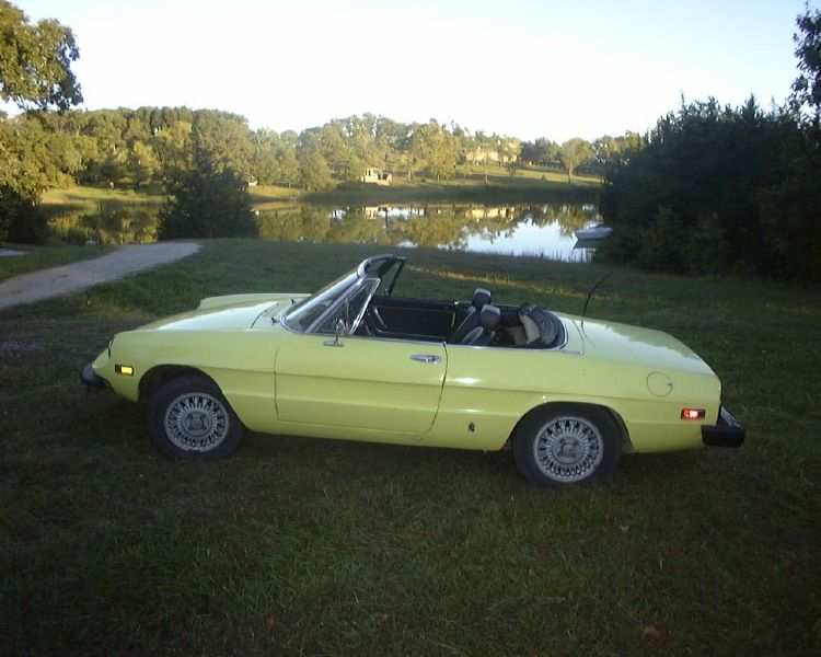 1982 Alfa Romeo Spider Pictures Cargurus