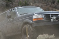 Bronco Bronco