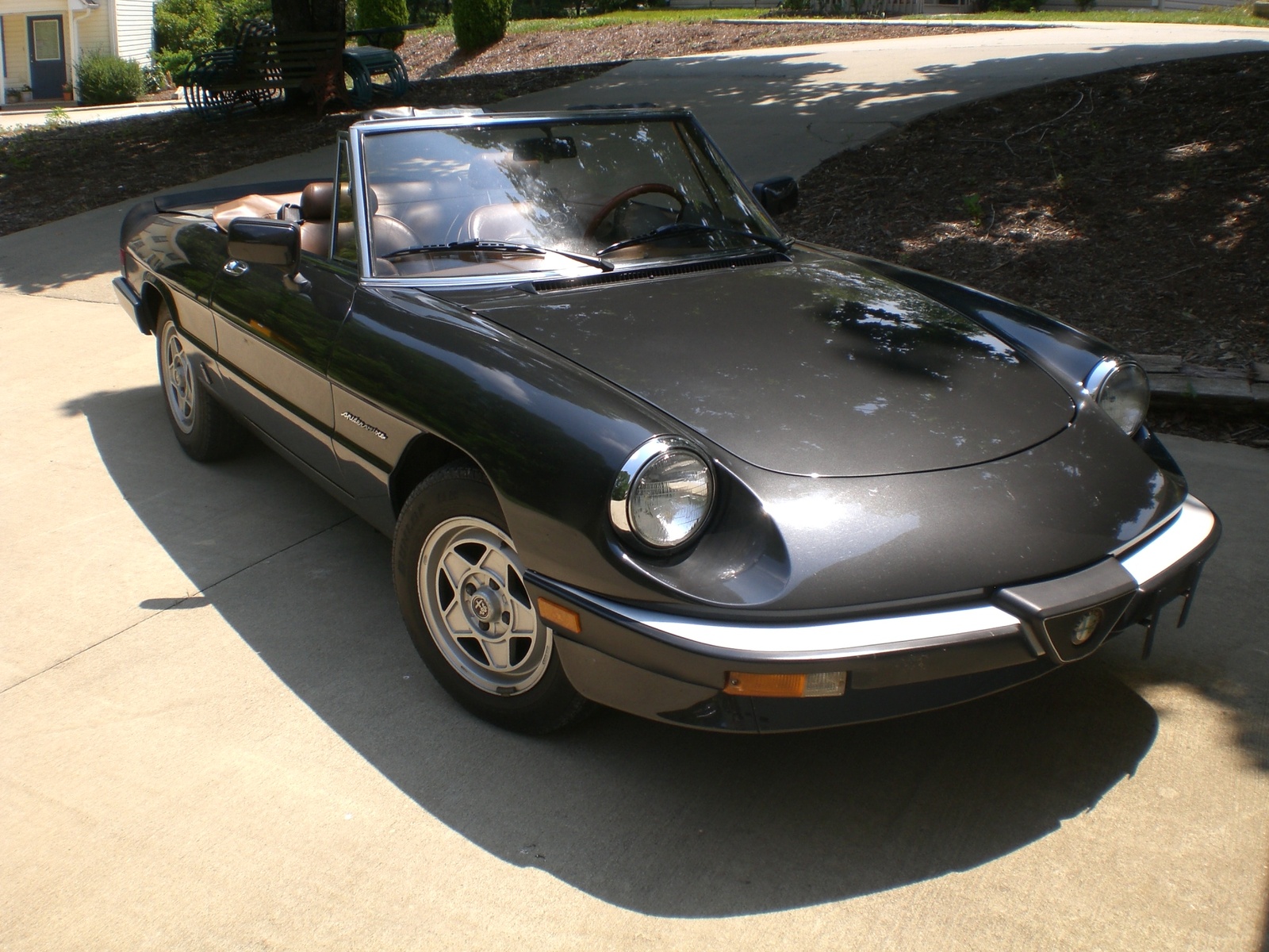 1985 Alfa Romeo Spider Pictures Cargurus