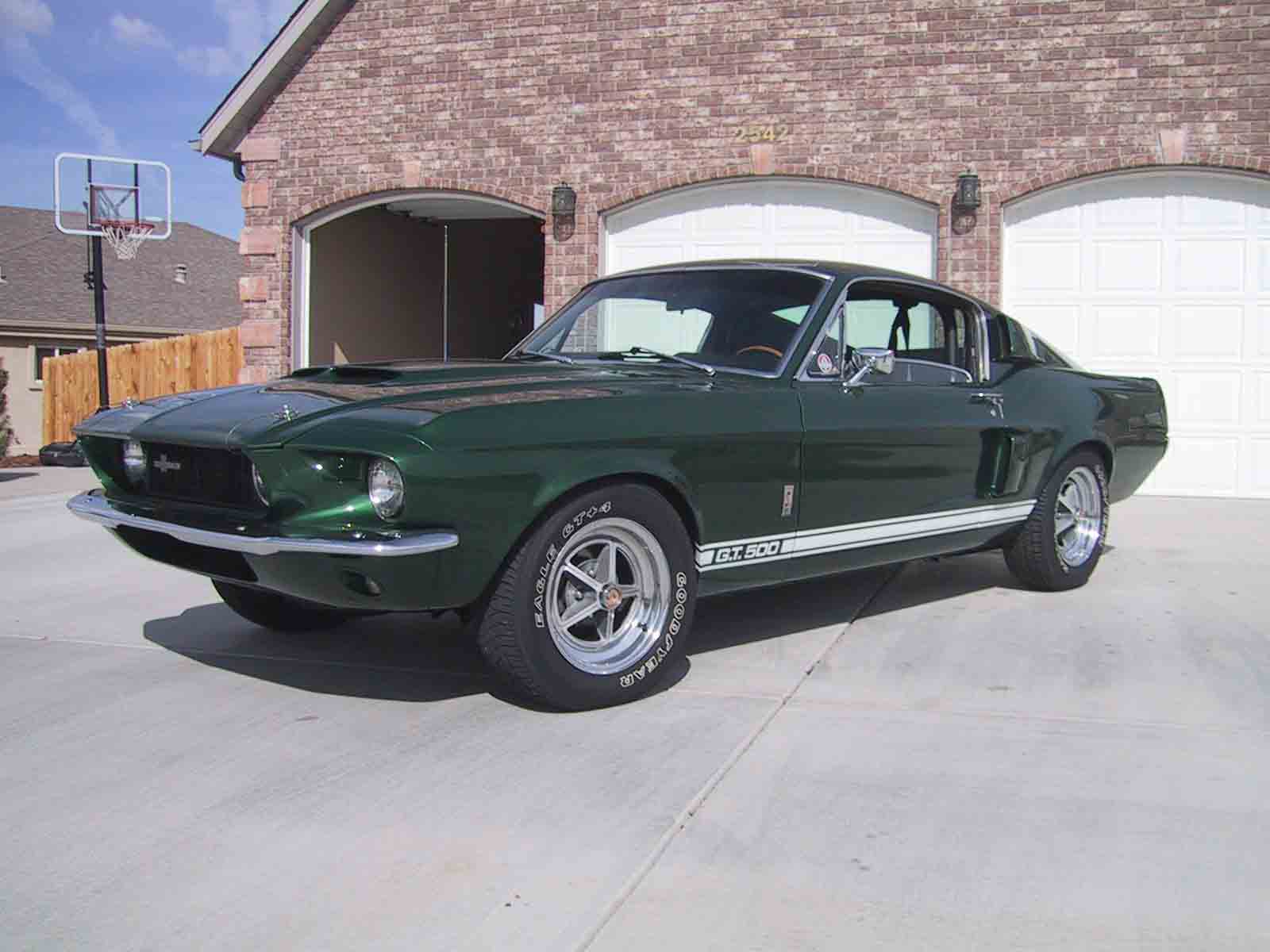 1967_ford_mustang_shelby_gt500-pic-8961.jpeg