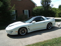 Trans Am Trans Am