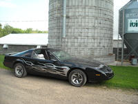 Firebird Firebird