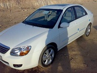 Cerato Cerato