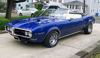Firebird Firebird