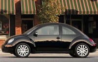 Beetle Beetle