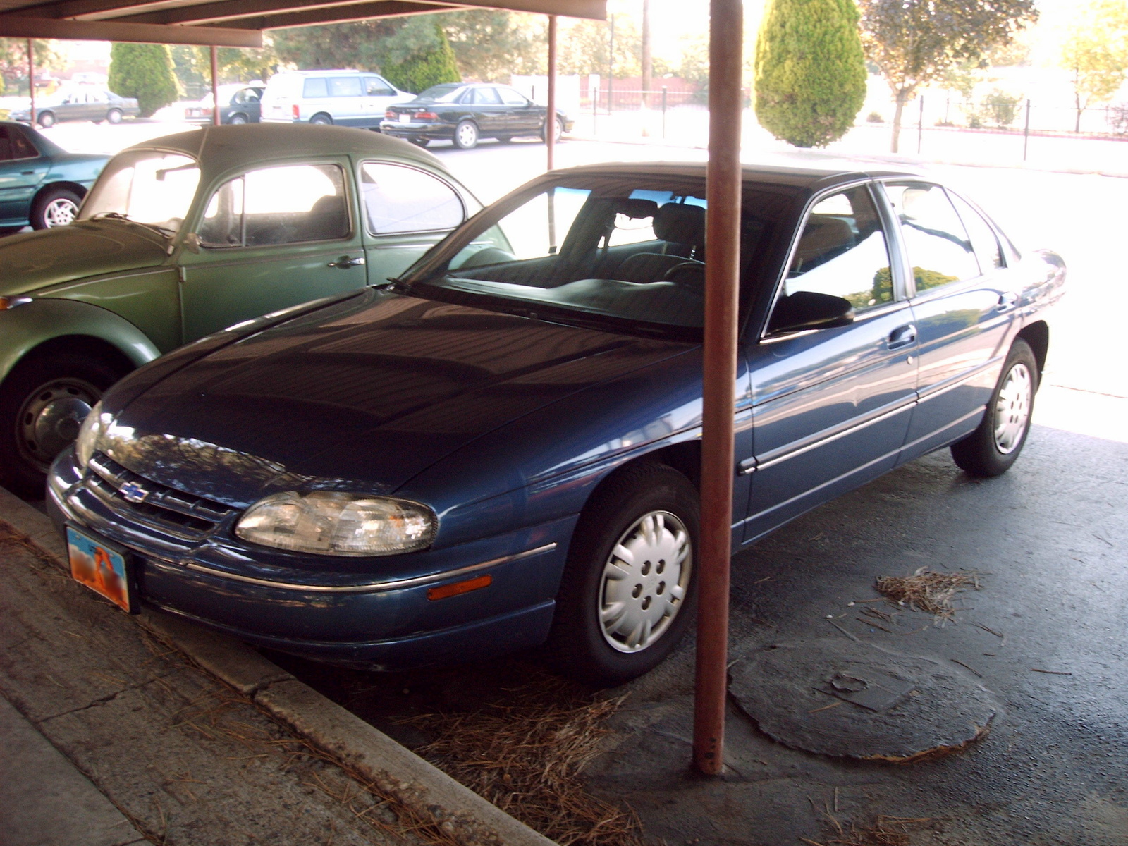 Lumina Lumina