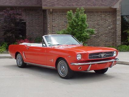 1964 Ford Mustang Standard Convertible Picture of 1964 Ford Mustang 