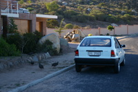 1989 Opel Monza Overview 1989 Opel Monza Overview