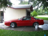 Firebird Firebird