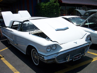Thunderbird Thunderbird
