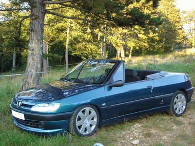 peugeot 306. 1996 Peugeot 306 picture,