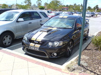 Falcon Falcon
