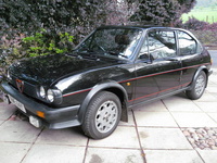 1981 Alfa Romeo Alfasud Overview 1981 Alfa Romeo Alfasud Overview