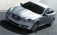 XF XF