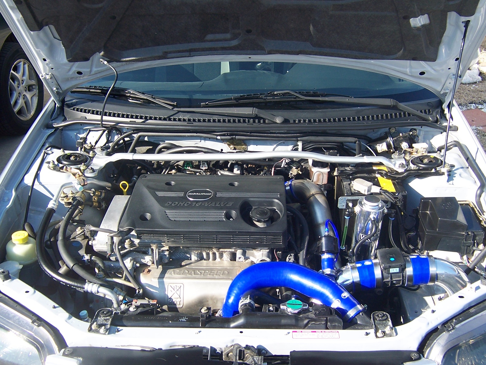 Mazda MAZDASPEED Protege - Pictures - 2003 Mazda MAZDASPEED Protege ...