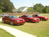 Mustang SVT Cobra Mustang SVT Cobra