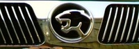 Cougar Cougar