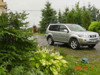 X-Trail X-Trail