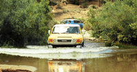FJ Cruiser FJ Cruiser