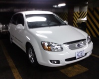 Cerato Cerato