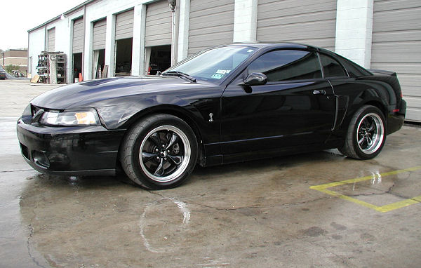 2000 Ford Mustang Svt Cobra R. 2003 SVT COBRA 10TH ANIVERSARY