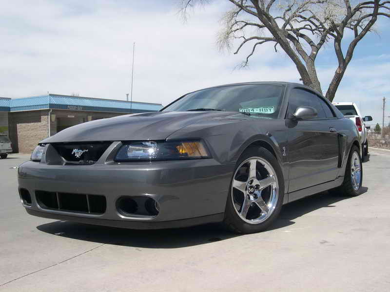 2001 Ford Mustang SVT Cobra 2 Dr STD Coupe picture exterior
