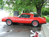 Firebird Firebird