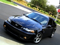 Mustang SVT Cobra Mustang SVT Cobra