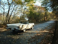 Thunderbird Thunderbird