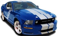 Mustang SVT Cobra Mustang SVT Cobra