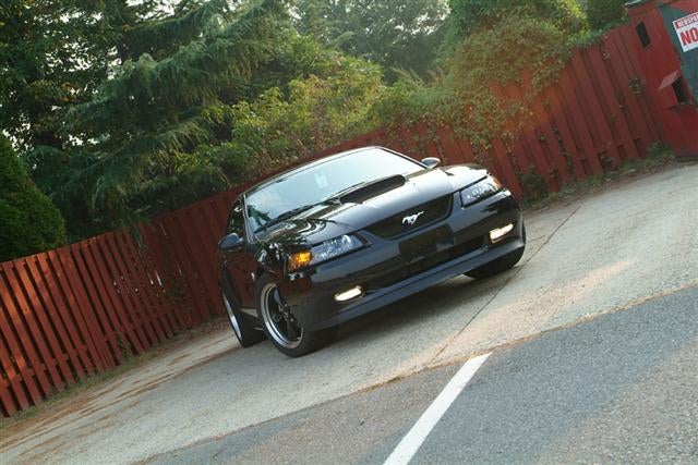 2012 mustang gt premium california special. 2004 FORD MUSTAG GT SPECIAL