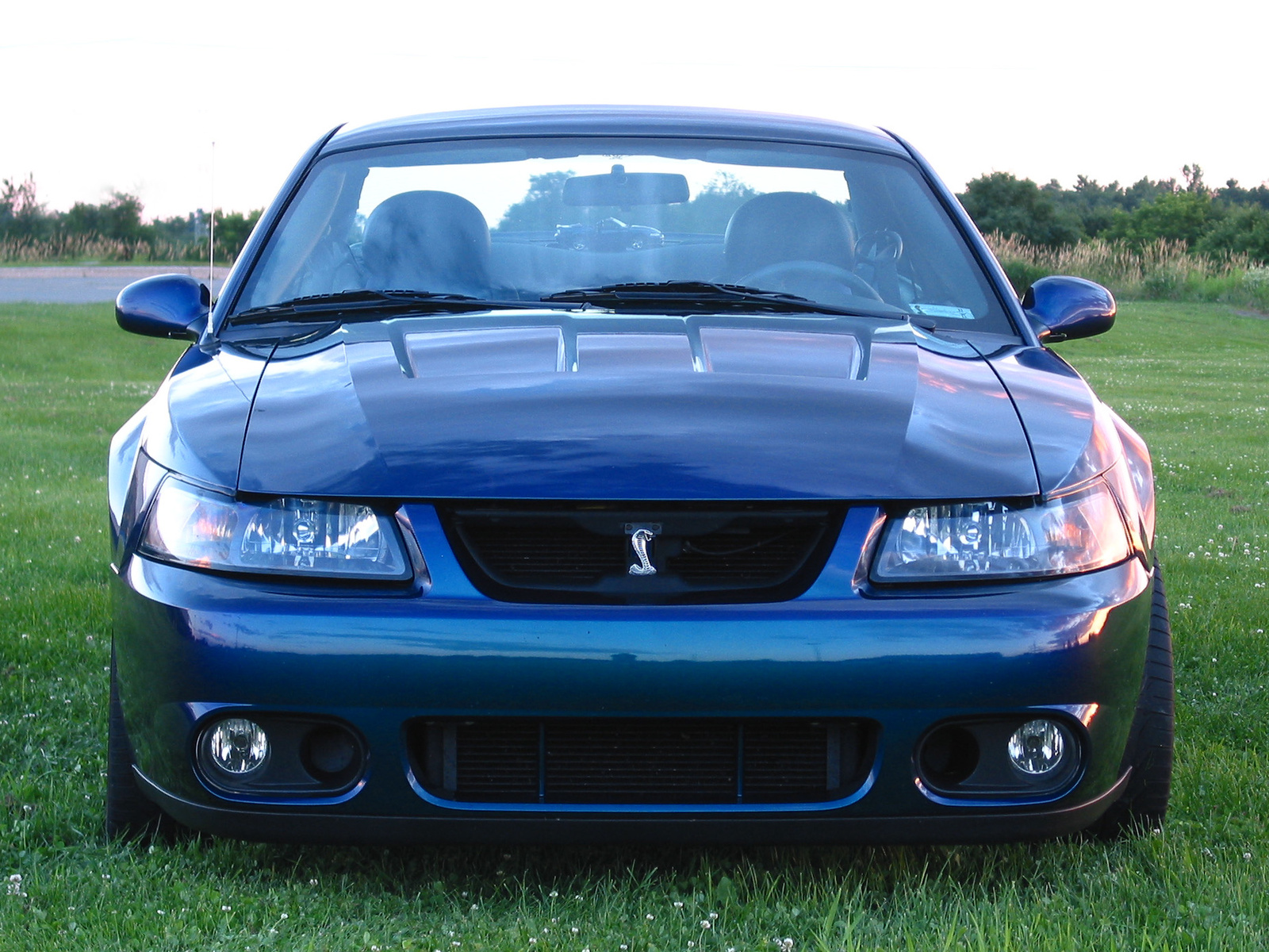 2004 Ford Mustang SVT Cobra - Pictures - CarGurus