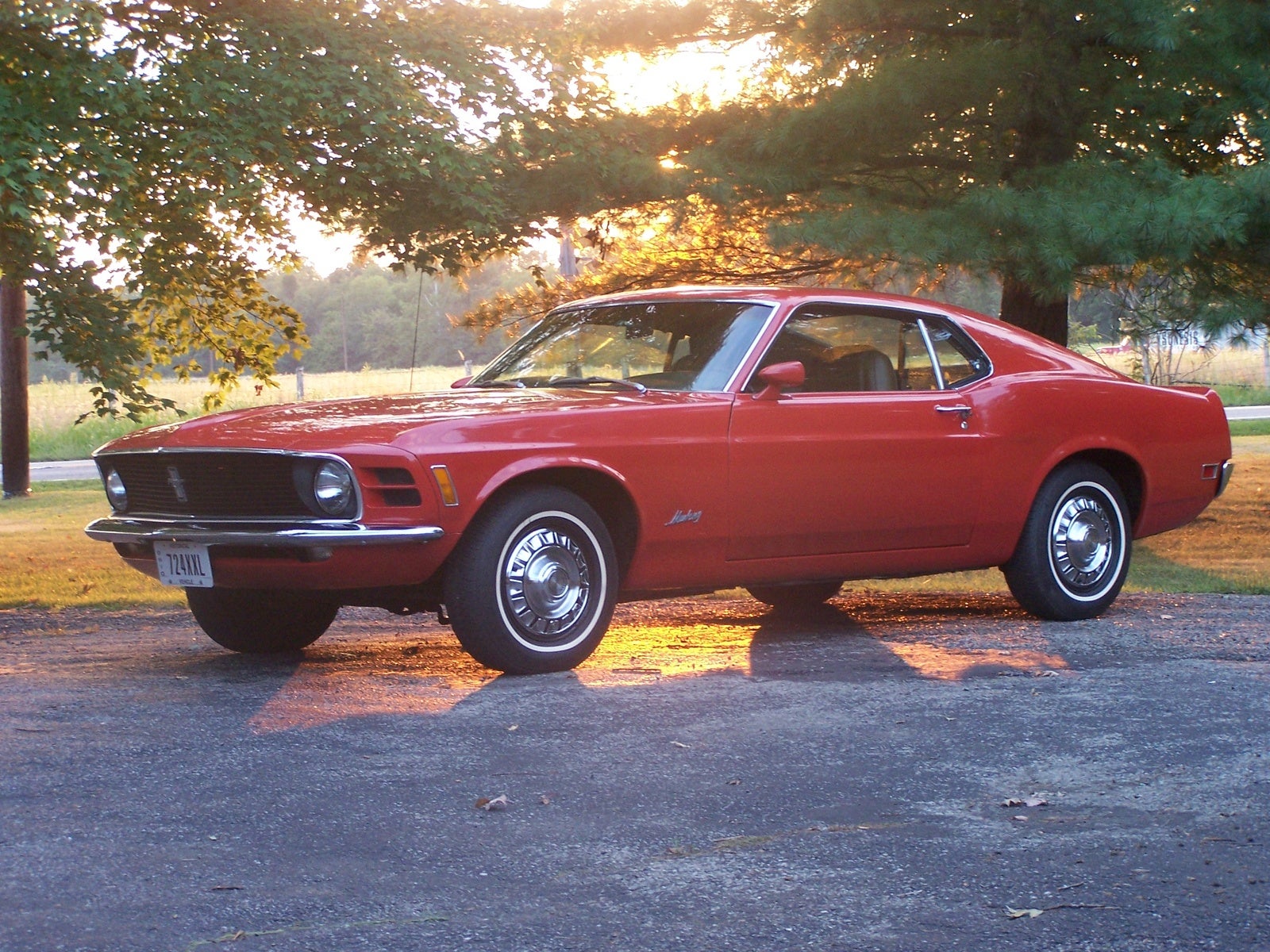 1970 Ford Mustang Base picture, exterior