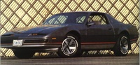 Firebird Firebird