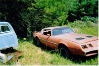 Firebird Firebird