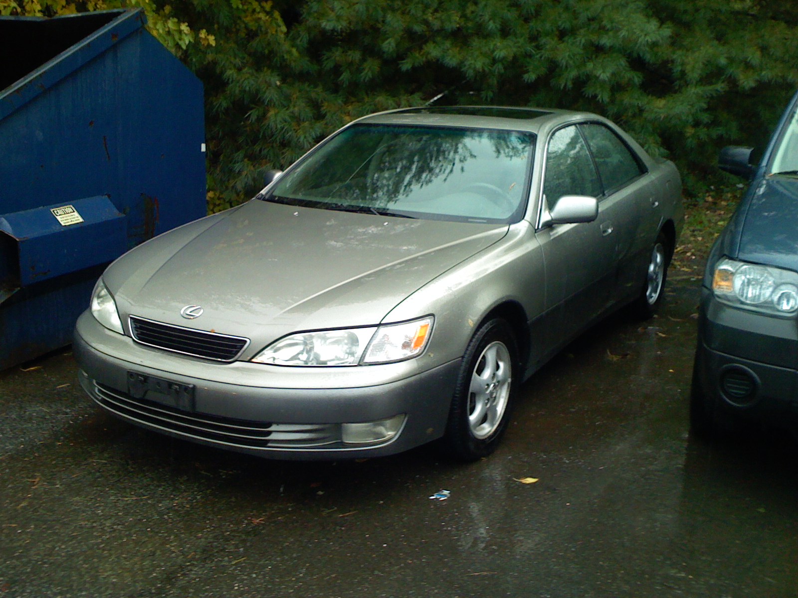1998 Lexus Es 300 Pictures Cargurus
