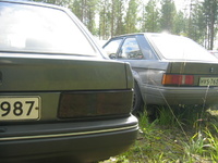 Escort Escort