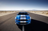 Shelby GT500 Shelby GT500