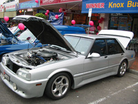 Falcon Falcon