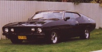 Falcon Falcon