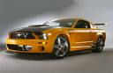 Mustang SVT Cobra Mustang SVT Cobra