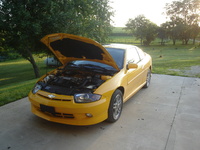 Cavalier Cavalier