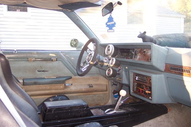 1979 Oldsmobile Cutlass Supreme picture, interior