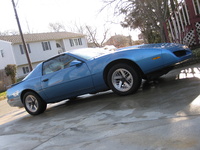 Firebird Firebird