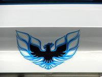 Trans Am Trans Am