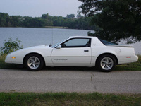 Firebird Firebird