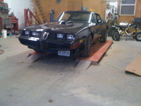 Trans Am Trans Am