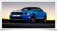 Shelby GT500 Shelby GT500